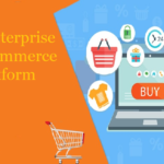 Essential Points to Consider While Choosing an Enterprise Ecommerce Platform