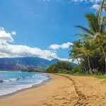 Ultimate Hawaii Snorkel Guide (Infographic)