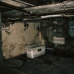 basement dehumidifier