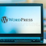 WordPress Blogs in 2021